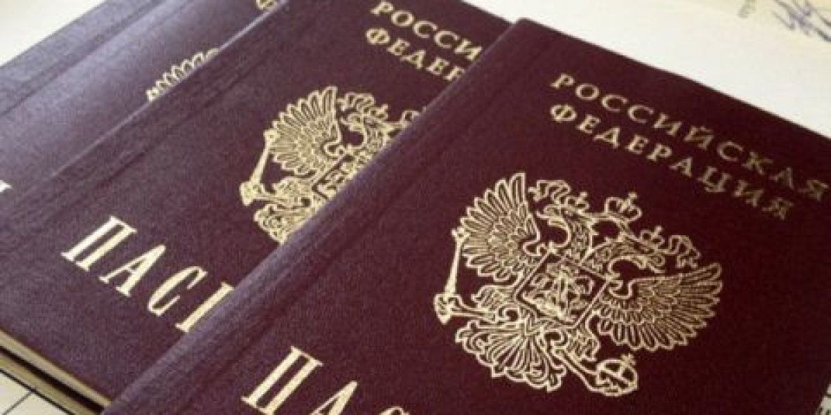 Закон о лишении гражданства РФ теперь включает более 80 оснований – Володин