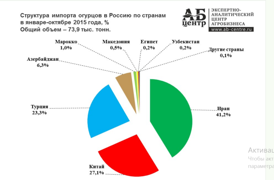 Огурцов полна корзина: почему овощная самодостаточность России может стать пирровой победой