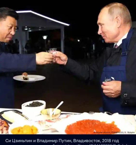 Немецкий историк: Путин и Си пьют водку, но РФ и КНР — не друзья