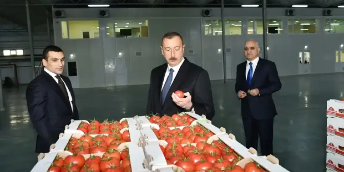 Коц: "С латвийским шпротами справились. Неужто с азербайджанскими помидорами не разберемся?"