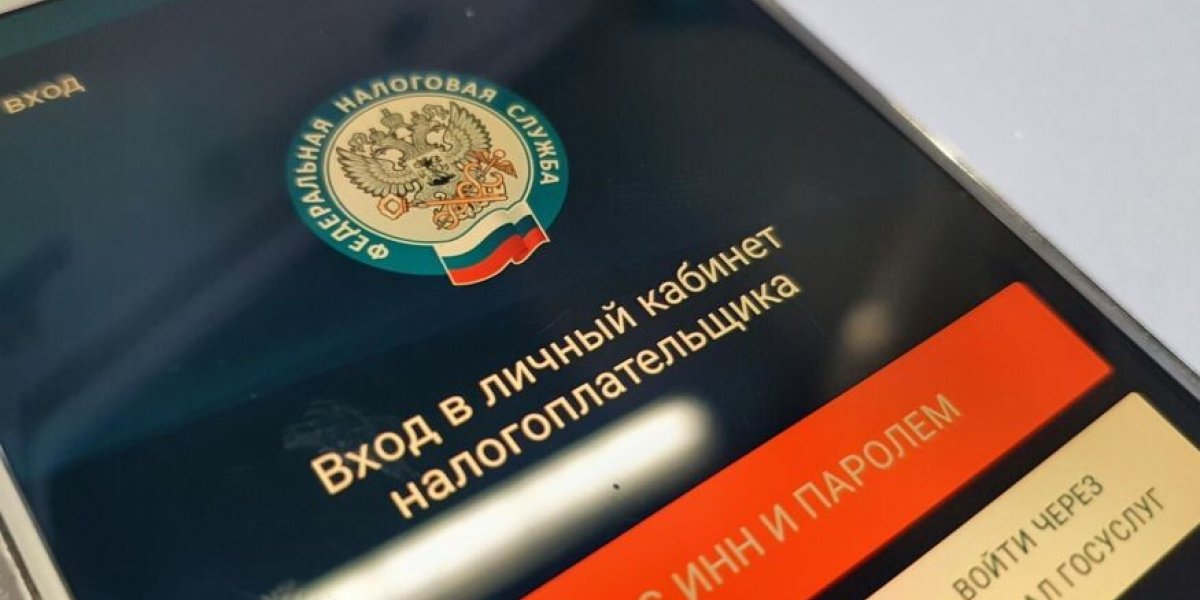 Взыскание долгов по налогам без суда: в Госдуме опасаются серьезных финансовых потерь