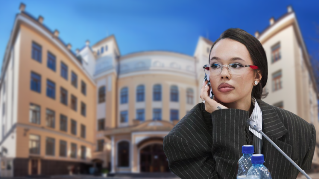 Инстасамку пригласили в общественную палату – она будет заботиться о детях