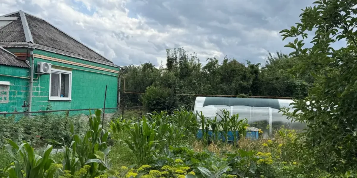 Главные работы в саду и огороде в июле: советы, которые точно помогут вам получить отличный урожай