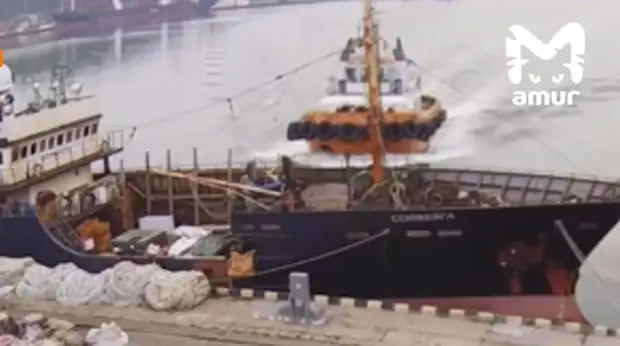 Буксир на полном ходу протаранил российское судно и скрылся