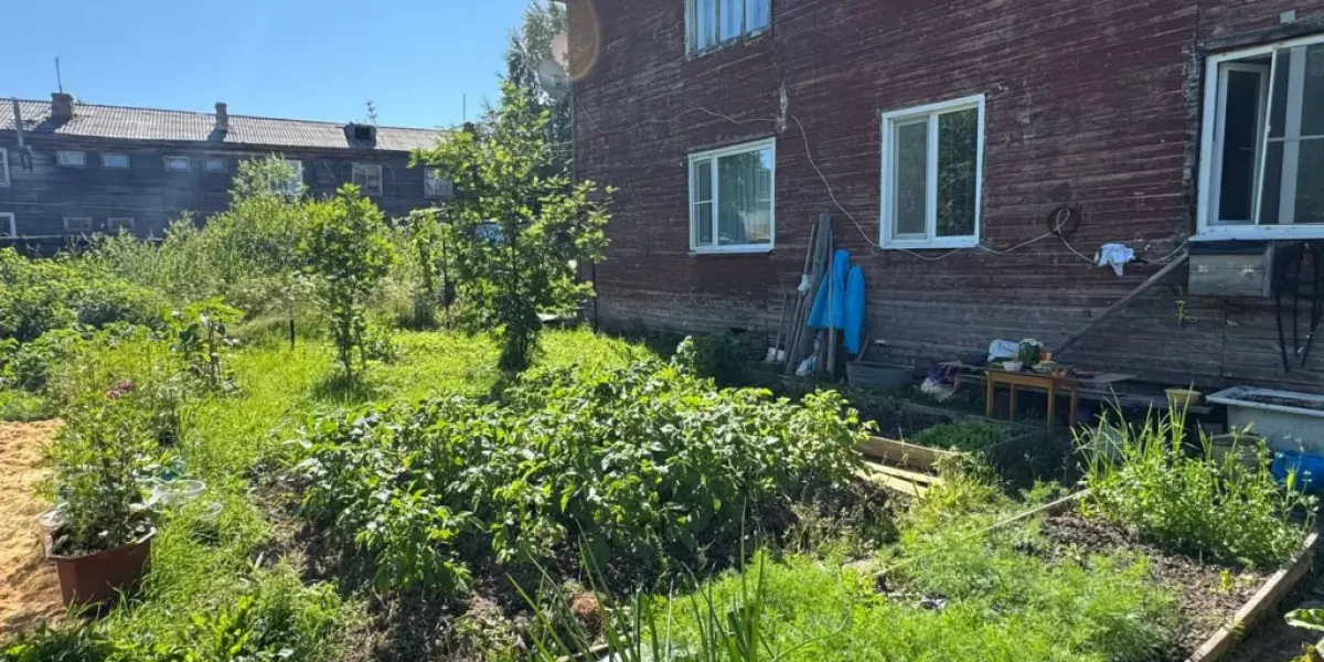 Закон подписали у июле: владельцы участка лишаться земли из-за этих растений