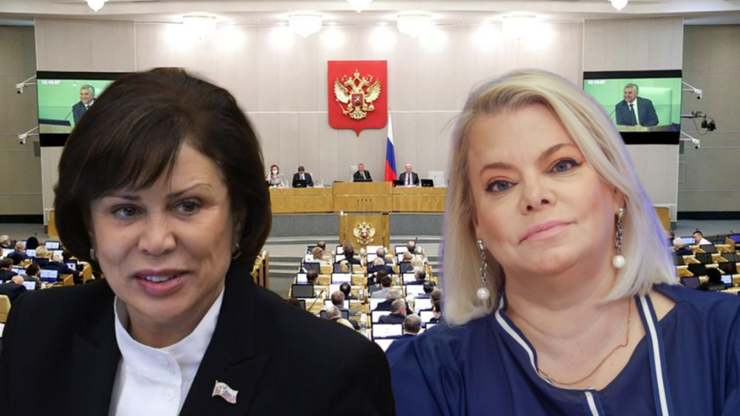 «Пенсия – это не милость государства» – Роднину жёстко одёрнули другие депутаты