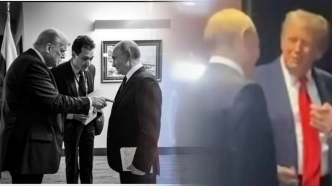 На Украине истерика – Трамп передал в Киев послание от Путина, Зеленский едет в Вашингтон. Кэрролл: "Временное прекращение огня достигнуто"