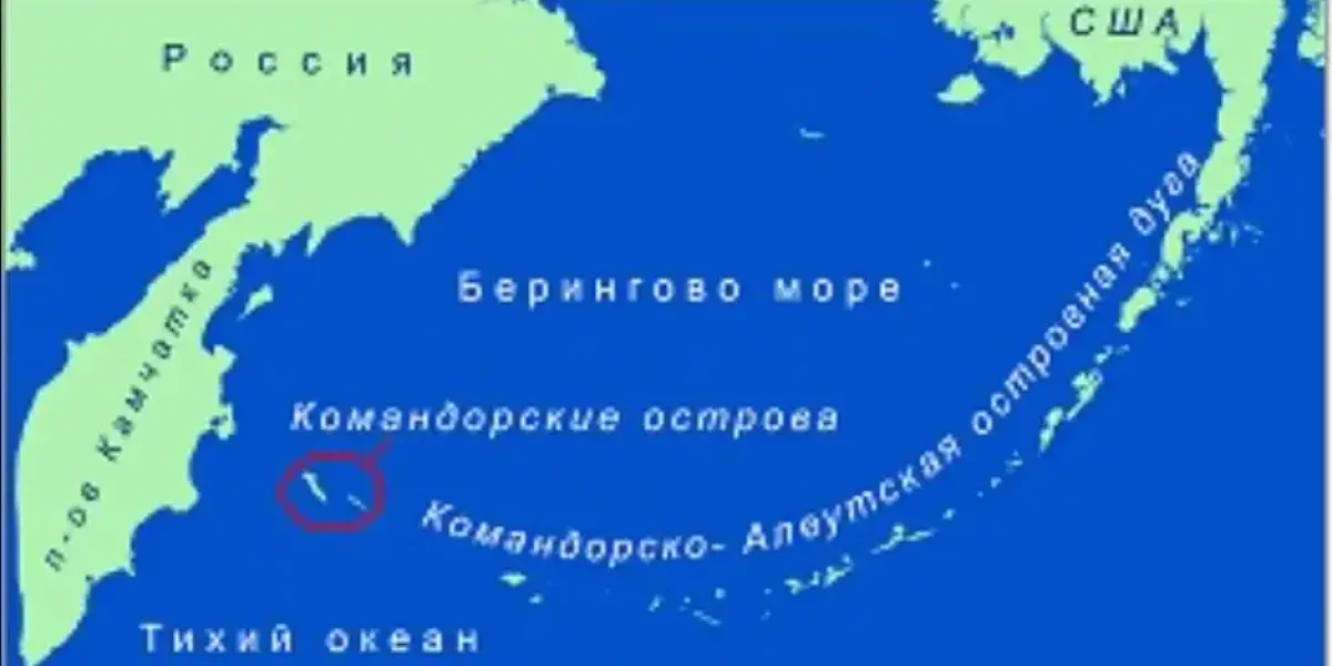 Сделка века: для чего американцам понадобились наши Командорские острова
