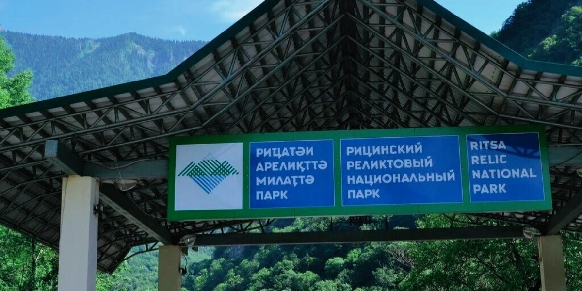 Семья блогера после отпуска: конечно Абхазия нас не разорила, но как там, нас нигде не разводили