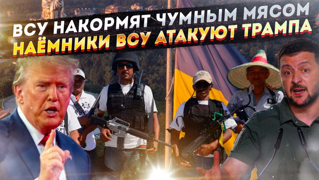 Украина вооружает мексиканские банды | Мясо больных кабанов для ВСУ | НАЦБАТЫ В ЯРОСТИ