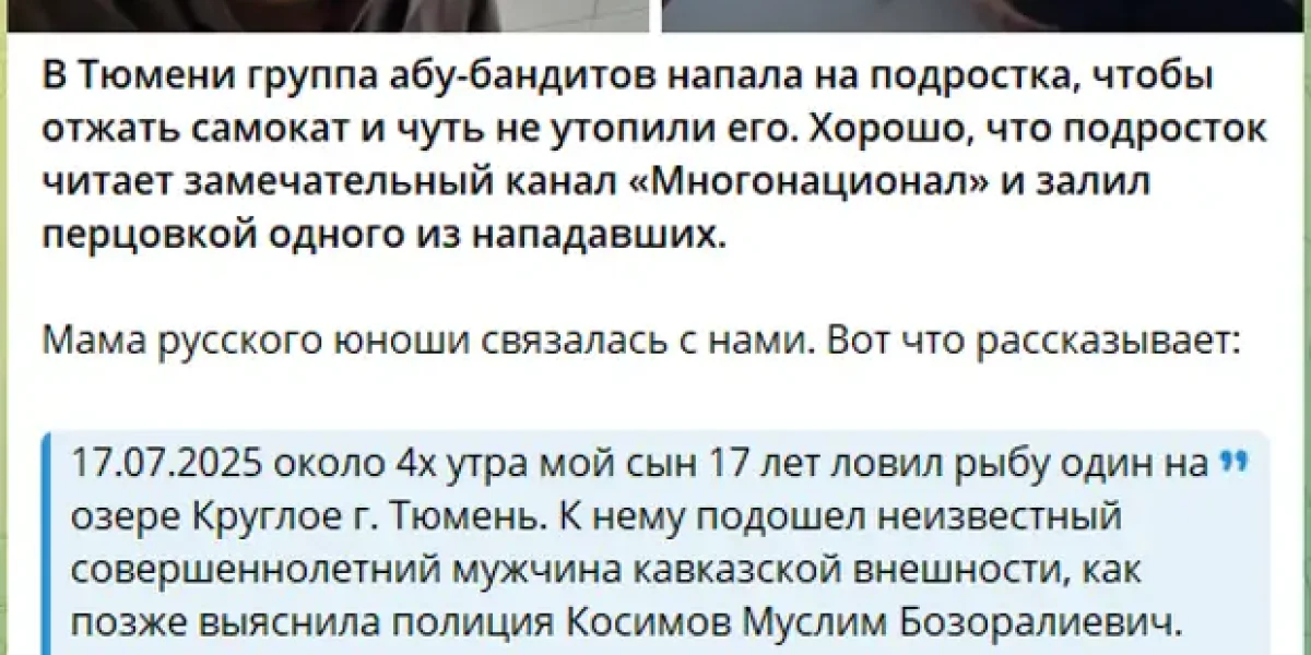 Мигранта, топившего парня в озере из-за самоката, отпустили. Он оказался спортсменом, гордостью Тюмени