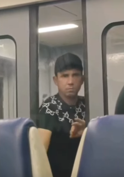 Приезжий Фарход уже было занес руку для удара контролера в электричке, но тут неожиданно с места встал парень под два метра ростом...