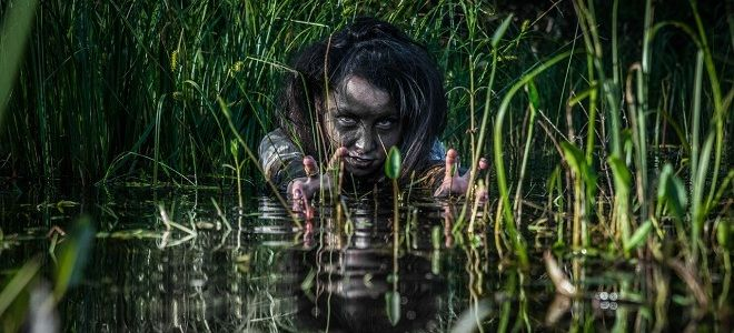 Кикиморы как движущая сила НАТО: Финляндия с Польшей готовятся утопить русские танки в трясине