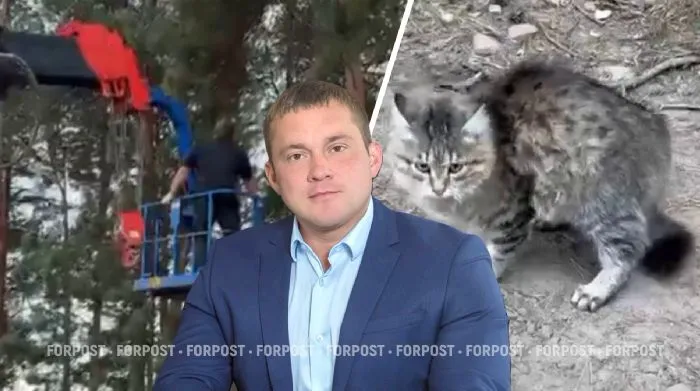 «Настоящий слуга народа»: российский мэр прошёл проверку котом