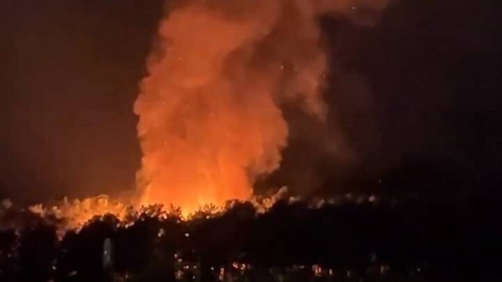 Апокалипсис в зоопарке: Новосибирск в шоке от криков животных, сгоревших заживо