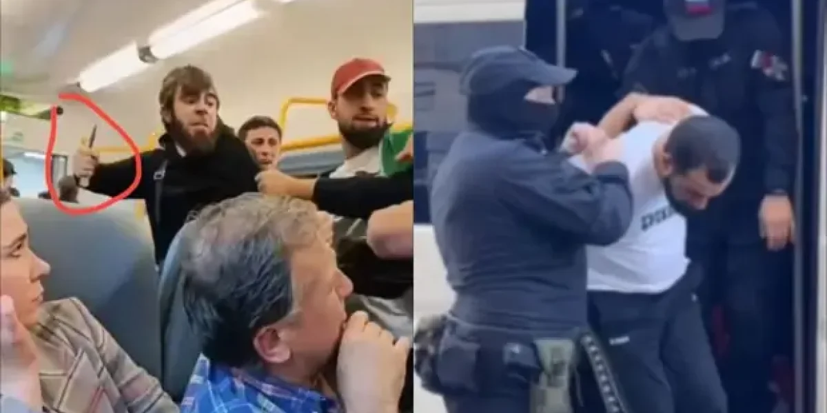 Опять кавказцы... На женщину-контролера в электричке бросались с ножом. Шокирующее видео