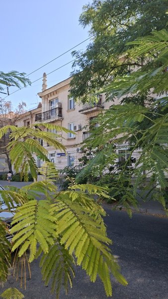 Поездка в субботу в Севастополь