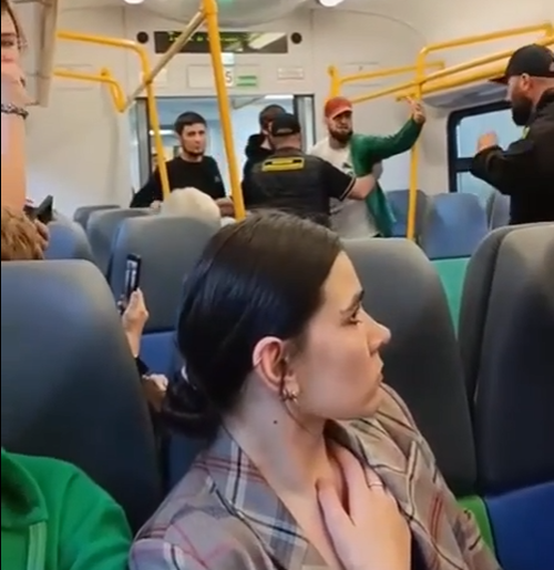 «У них нож, все назад!»: в Москве иноземцы отказались платить за проезд, а когда им попытались выписать штраф, схватились за оружие.