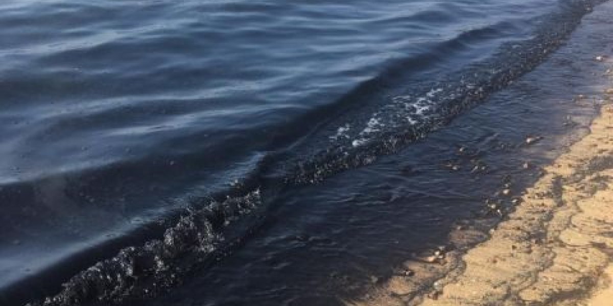 У берегов Анапы завершен сбор мазута со дна Черного моря