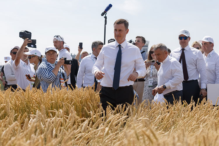 Приговор дилетантам: борьба властей с ростом цен на продукты оборачивается их повышением