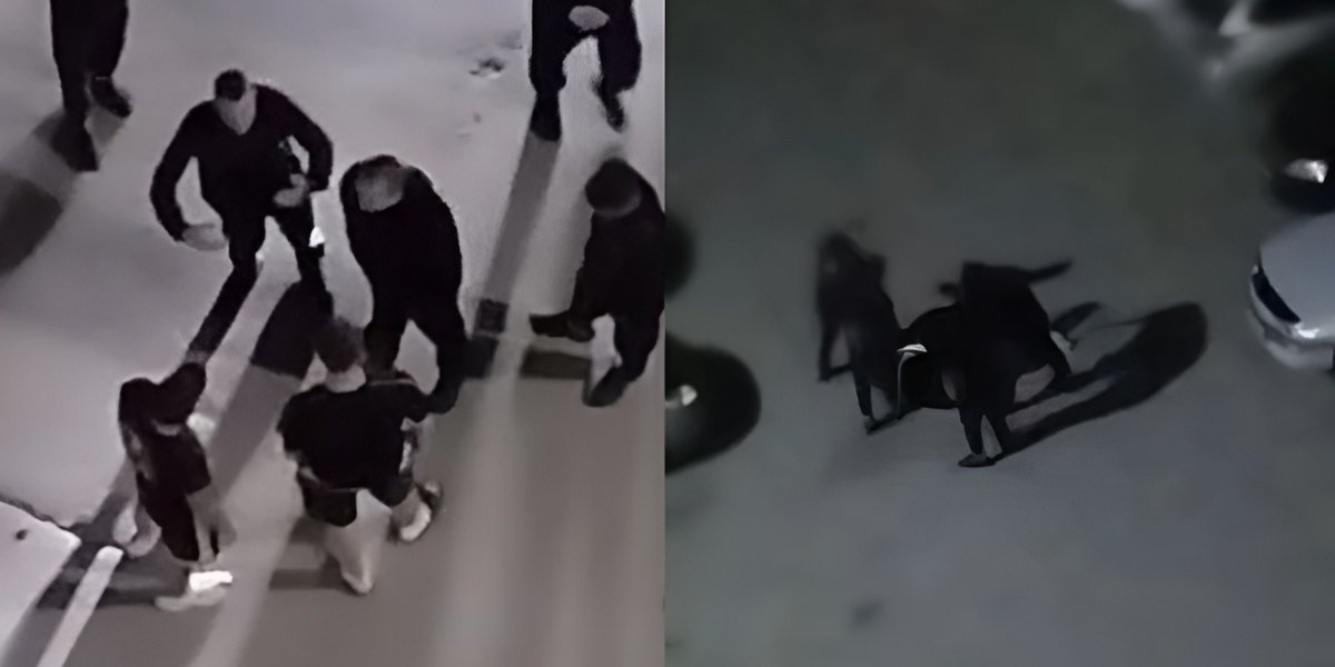 Толпа наводнила Новосибирск: приезжие провоцируют конфликты и самоутверждаются за счет слабых