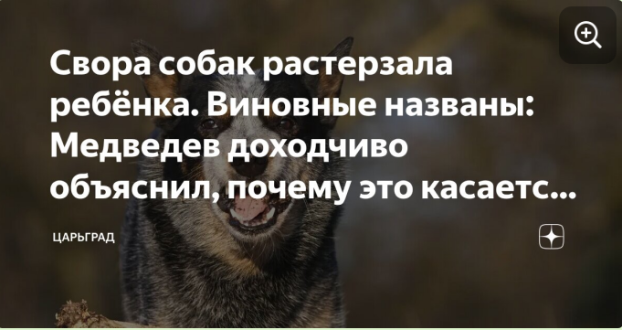 Ещё одна детская жизнь на совести депутатов? Медведев: "Вы представляете себе, какие там суммы гуляют в целом?"