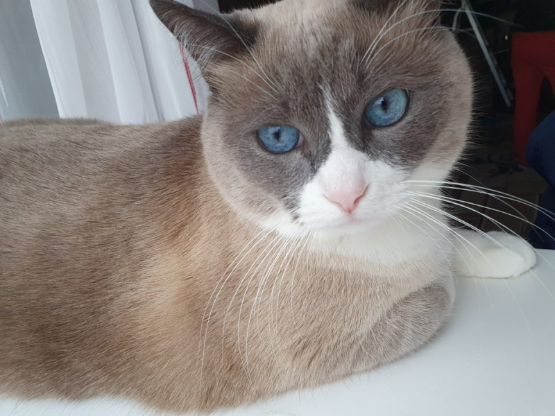 Погостили лето – пора и честь знать! Мотя возвращается домой Погостили лето – пора и честь знать! Мотя возвращается домой