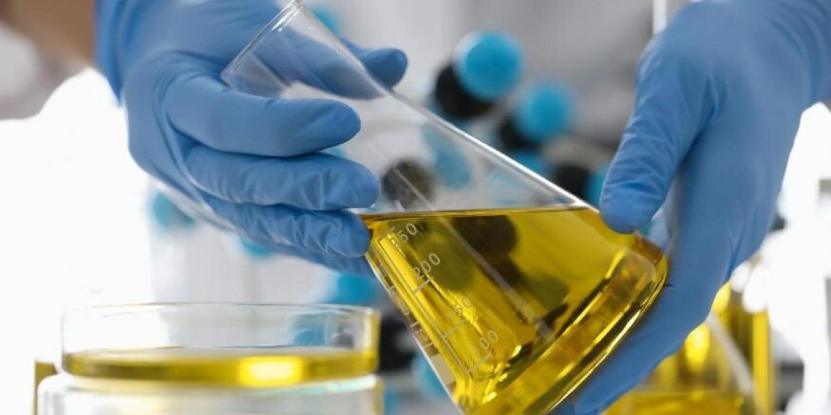 Подсолнечный яд в «оливковых бутылках»: Роскачество раскрыло масштабную подмену масел