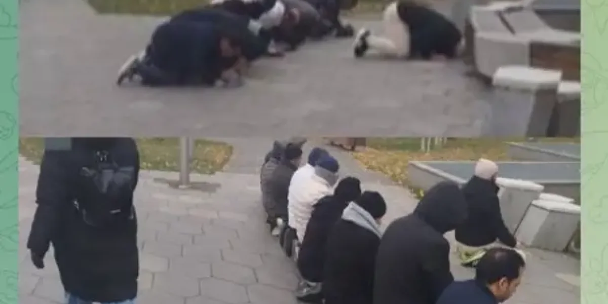 Группа мигрантов упала для "намаза" недалеко от Кремля. Почему это точно провокация и вызов нам?