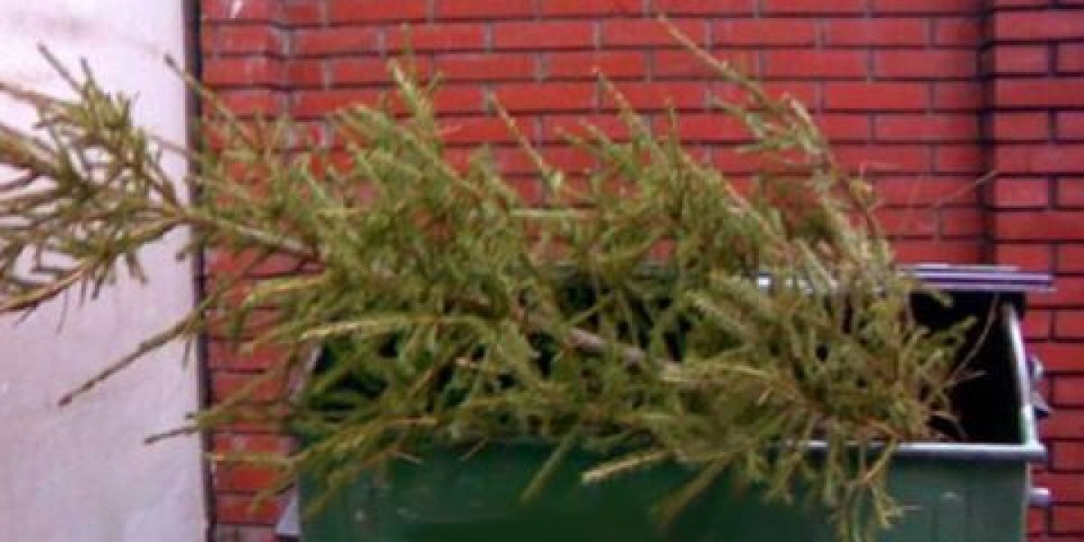 Повышение штрафов утвердили в первом чтении в Приморье 