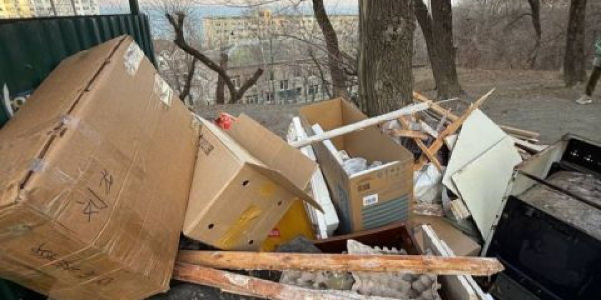 "Скорая помощь" не успела добраться до пациента из-за переполненной мусорной площадки во Владивостоке - соцсети "Скорая помощь" не успела добраться до пациента из-за переполненной мусорной площадки во Владивостоке - соцсети