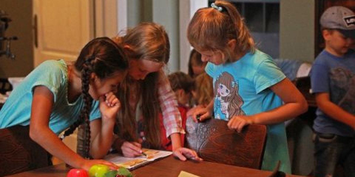 Плюс один: очередной детский лагерь в пригороде Владивостока удалось деприватизировать Плюс один: очередной детский лагерь в пригороде Владивостока удалось деприватизировать