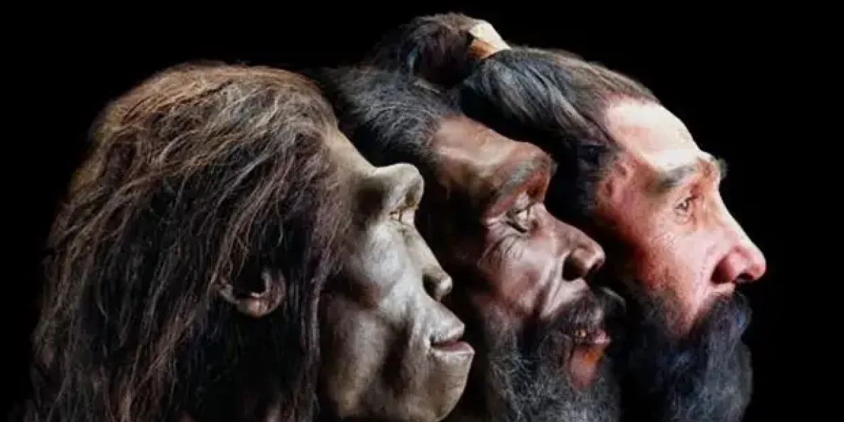 От обезьяны? От кого произошел человек по записям древних шумер От обезьяны? От кого произошел человек по записям древних шумер