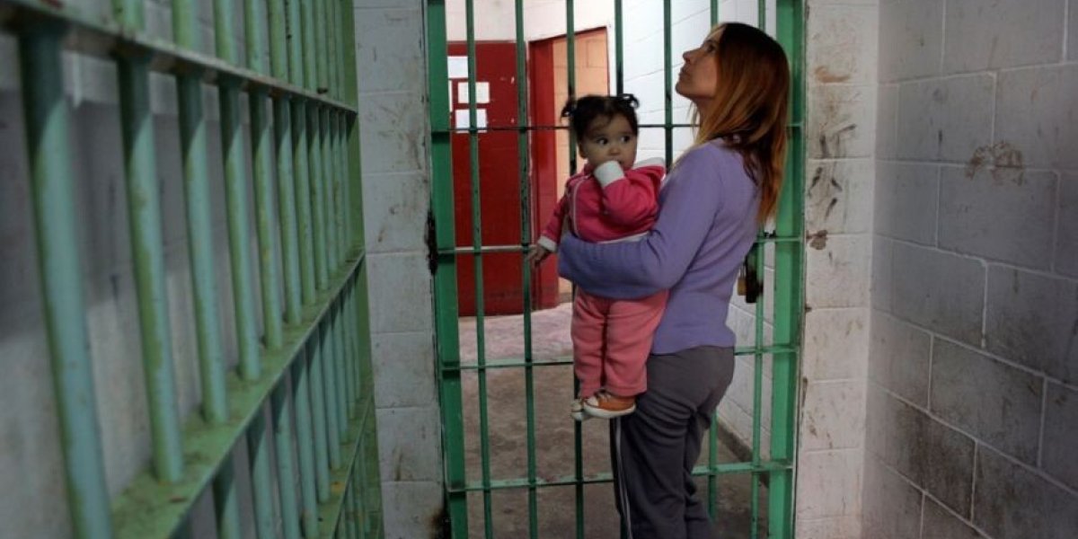 ЛДПР: эти матери — не преступники, отпустите женщин сейчас!