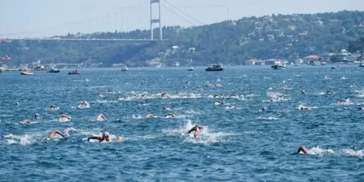 «Живет с любовницей и покупает дом на Родосе». Турки нашли пловца Свечникова под именем Николас Пападакис