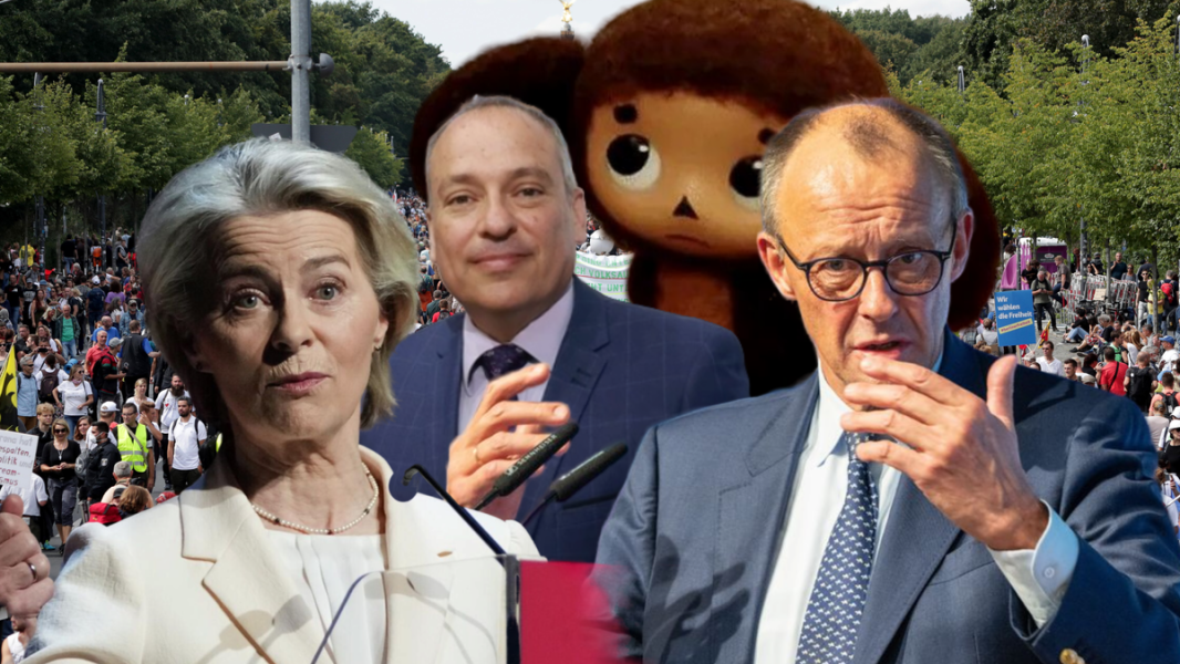 Политическая нестабильность в Германии, правовые последствия для евро и реформа высшего образования в России Политическая нестабильность в Германии, правовые последствия для евро и реформа высшего образования в России