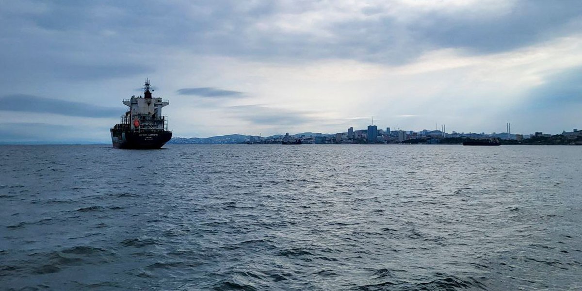 В МИД Турции обеспокоены недавними атаками на торговые суда