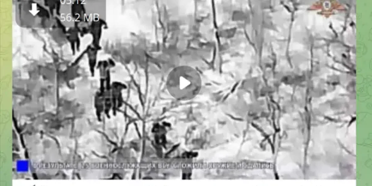 222-я дивизия им. Сталина зашла в Мирноград на плечах отступающих. В кадре - медведь и стиральная машина 222-я дивизия им. Сталина зашла в Мирноград на плечах отступающих. В кадре - медведь и стиральная машина