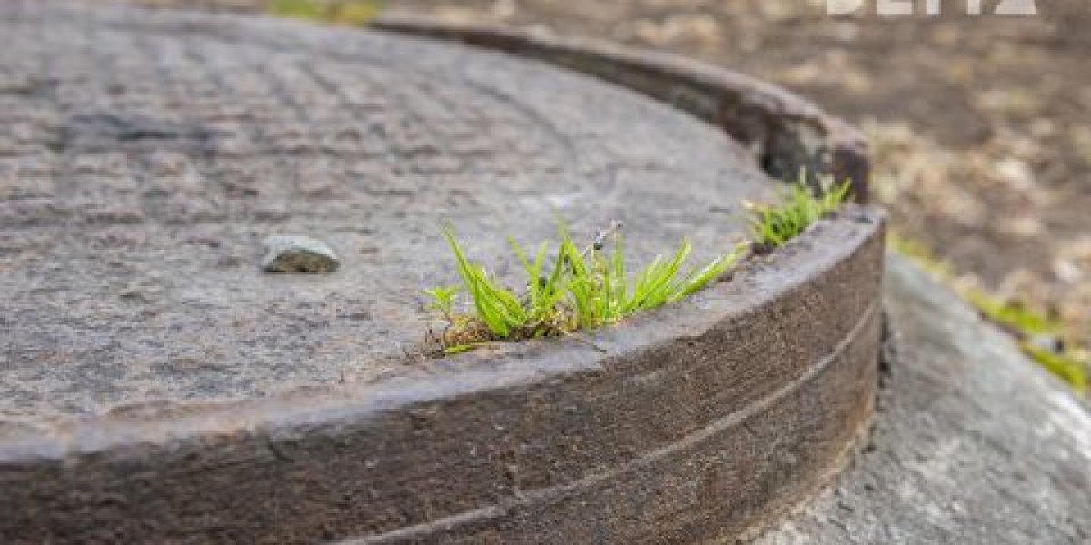 60 сантиметров нечистот: подвал дома во Владивостоке затопило фекалиями 60 сантиметров нечистот: подвал дома во Владивостоке затопило фекалиями