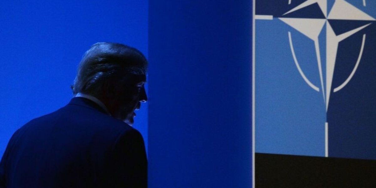 НАТО может расколоться на субблоки, но понадобится жертва: прогноз украинского эксперта