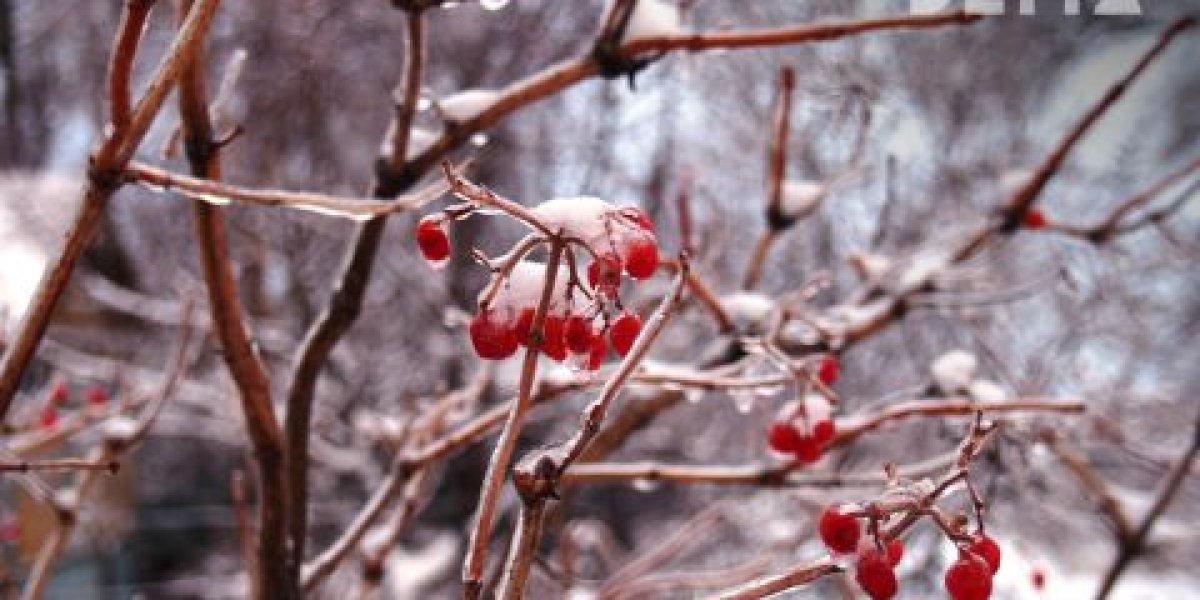 Аномально низкие температуры возможны в Приморье на этой неделе Аномально низкие температуры возможны в Приморье на этой неделе