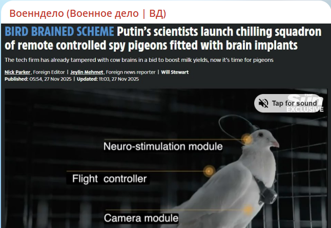 Боевые голуби Путина. "Новое оружие" довело британцев до истерики Боевые голуби Путина. "Новое оружие" довело британцев до истерики