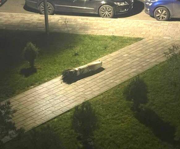 Зачем России бомбить азербайджанское посольство в Киеве! Слишком много чести! Зачем России бомбить азербайджанское посольство в Киеве! Слишком много чести!