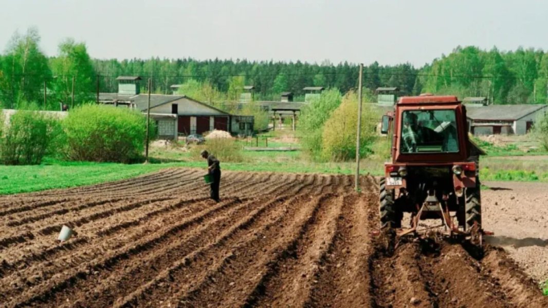 Своего ничего нет? Красивый рапорт министра испортила неудобная правда. В Госдуме признали: "Будем тонуть"