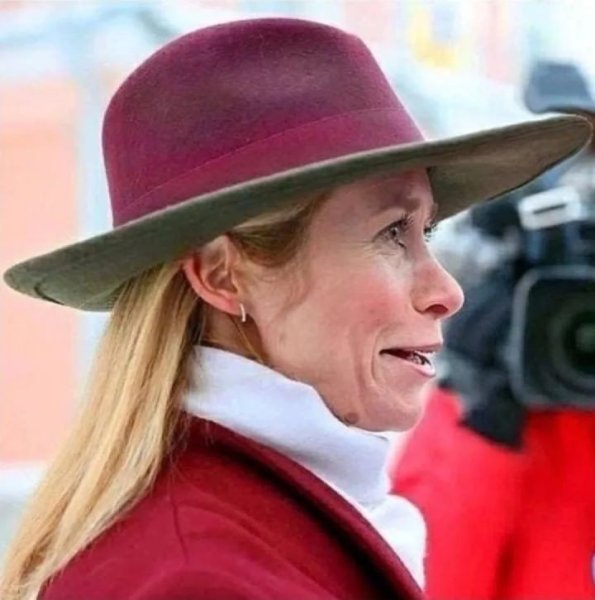 Жертва просвещения: Кая Каллас собралась в поход, да забыла — куда