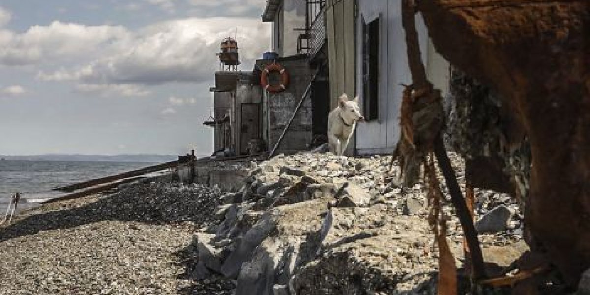 Нефильтрованные стоки с очистных сооружений Владивостока загаживают море и набережную