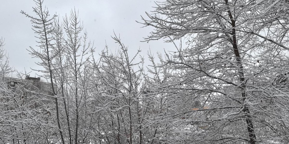 Вильфанд назвал дату следующего снегопада в Москве