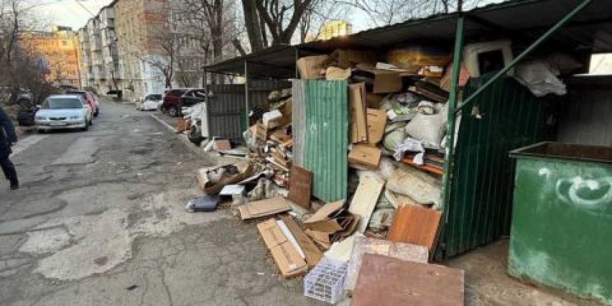 "Скорая помощь" не успела добраться до пациента из-за переполненной мусорной площадки во Владивостоке - соцсети "Скорая помощь" не успела добраться до пациента из-за переполненной мусорной площадки во Владивостоке - соцсети