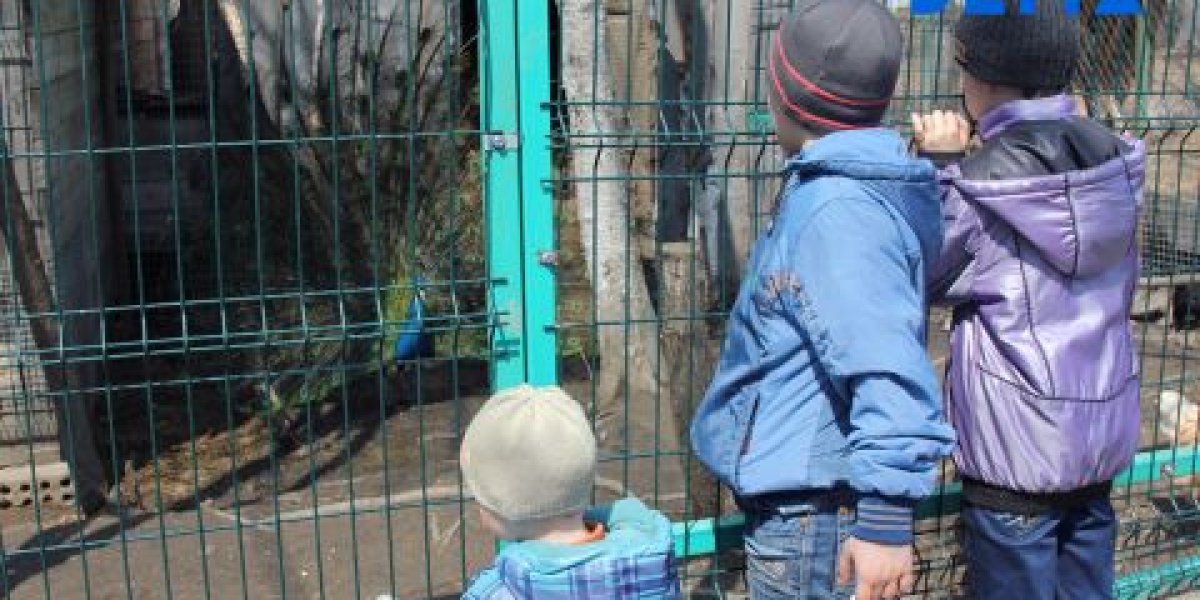 Увеличить маткапитал для некоторых регионов предложили в Госдуме Увеличить маткапитал для некоторых регионов предложили в Госдуме