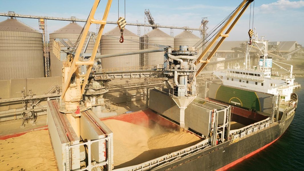 Россия использует рекордный экспорт пшеницы, чтобы задавать тон в мировой торговле зерном